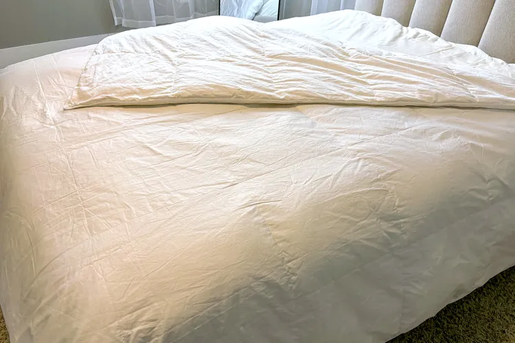 Quince Premium Down Comforter
