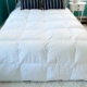 home-white goose down comforter sara luck