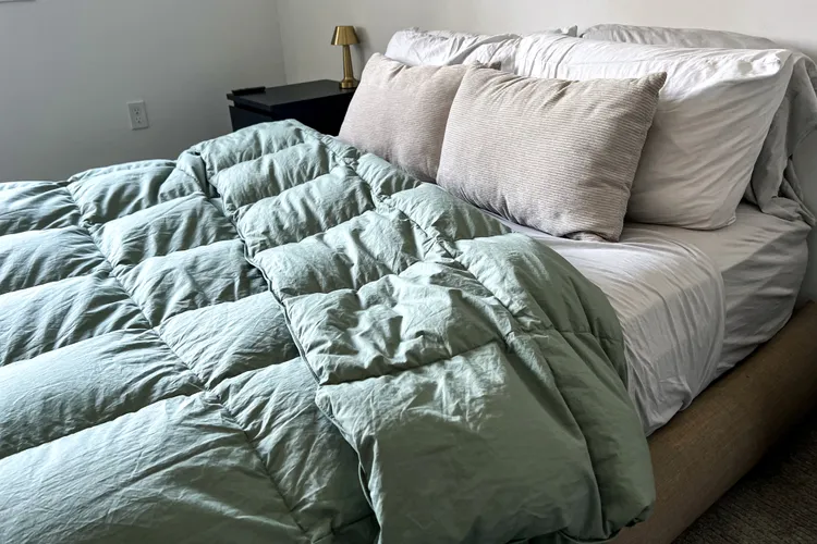 The Company Store LaCrosse Premium Down Light Warmth Comforter