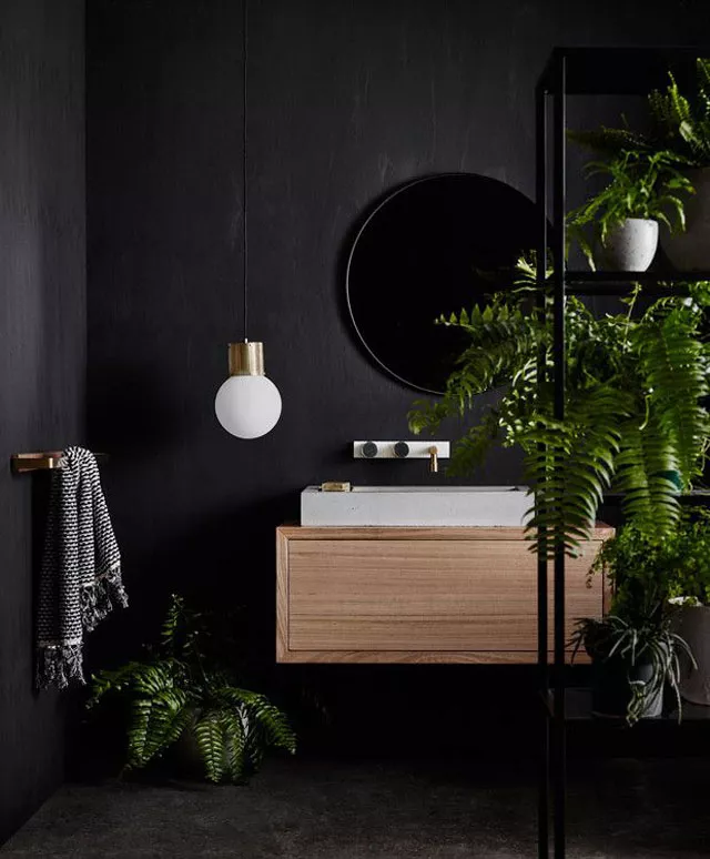 Black Bathroom Ideas for a Chic, Moody Space-Accent With Plants